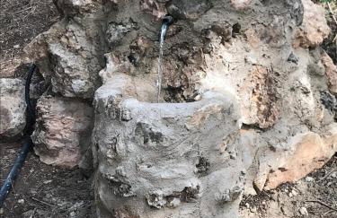 Cortijo Castillo de peñafleita - Foto 32