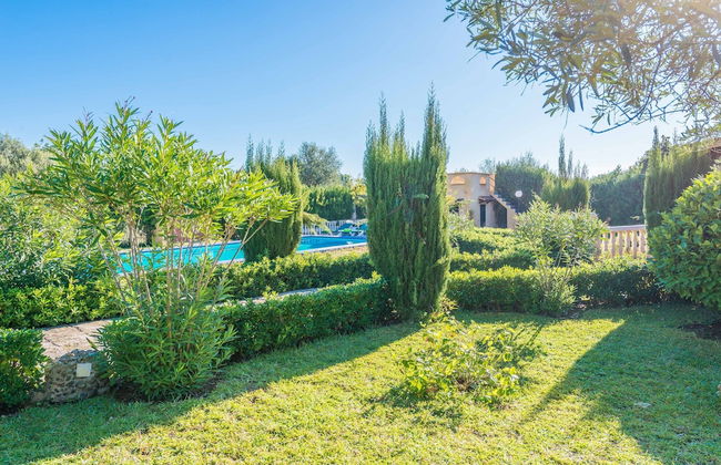 Hibiscus in Sa Pobla - Foto 35