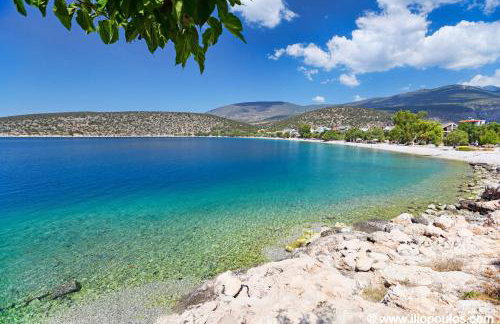 Arilena Studios - Photo 27