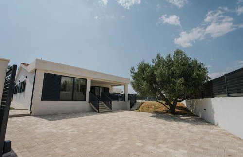 Villa Oliva - Photo 52