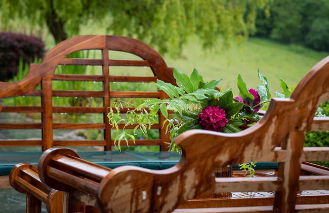 Higher Mapstone in Lustleigh - Foto 59