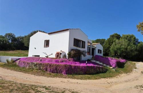 La Suara Manna - Happy Rentals - Foto 13