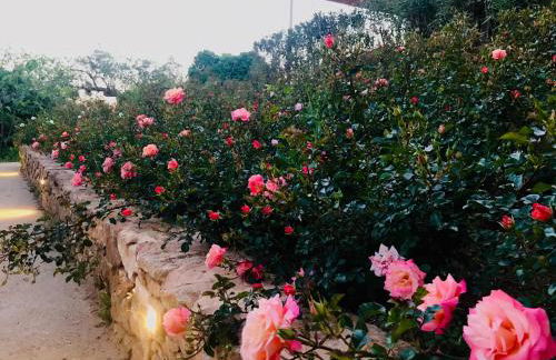 Case Graffeo - Foto 35