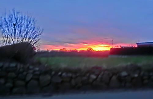 Kastanienhof - Foto 62