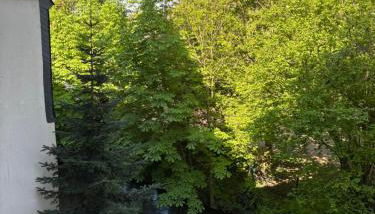 Ferienwohnung direkt an der Lahn - Foto 5