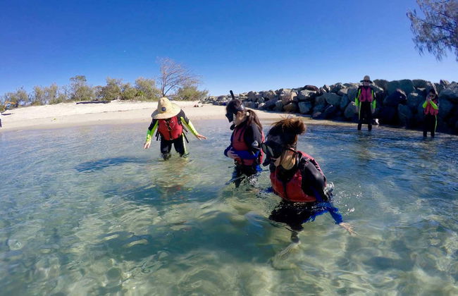 Kayak and Snorkel Dolphin-Watching Tour - Photo 6
