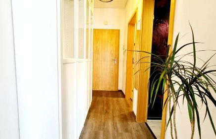 Ferienwohnungen Krüger ''Apartment Finn" - Foto 19