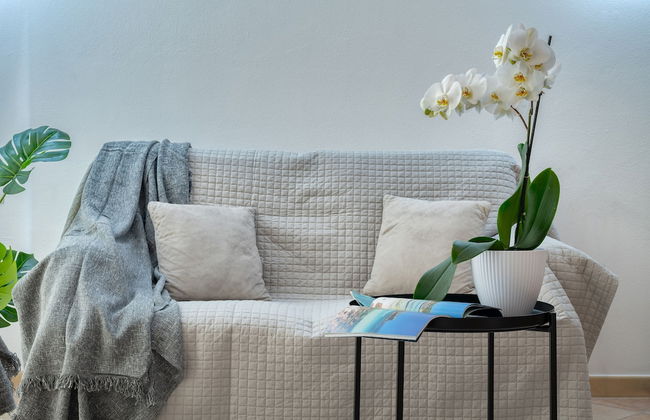 IzzHome Everyway - Foto 20