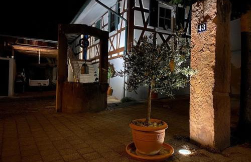 Traumhaft Wohnen Im Haus Blum - Foto 21