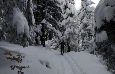 Ferienwohnung Zum Bartelt - Foto 25