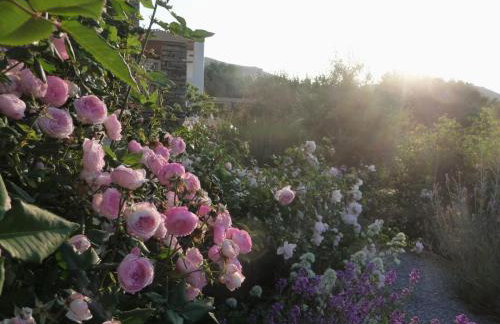 Red Tractor Farm - Foto 14