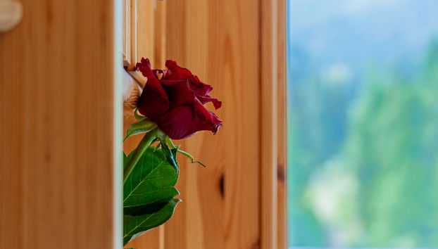 Rosablanche B72 - Photo 5, Mood