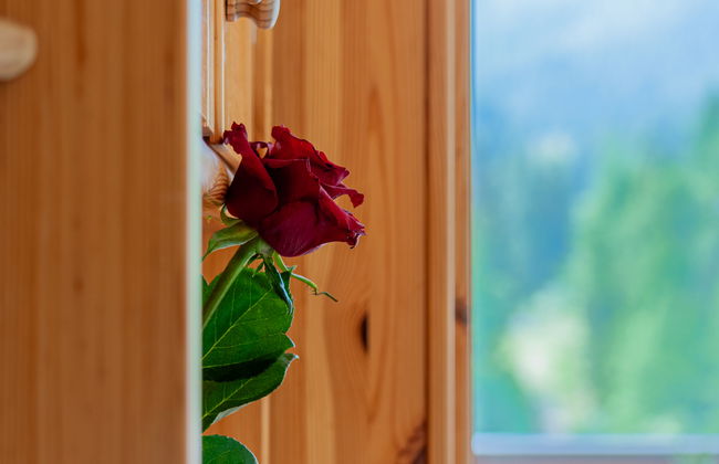 Rosablanche B72 - Foto 5