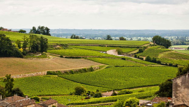Vista panorâmica dos vinhedos de Saint-Émilion