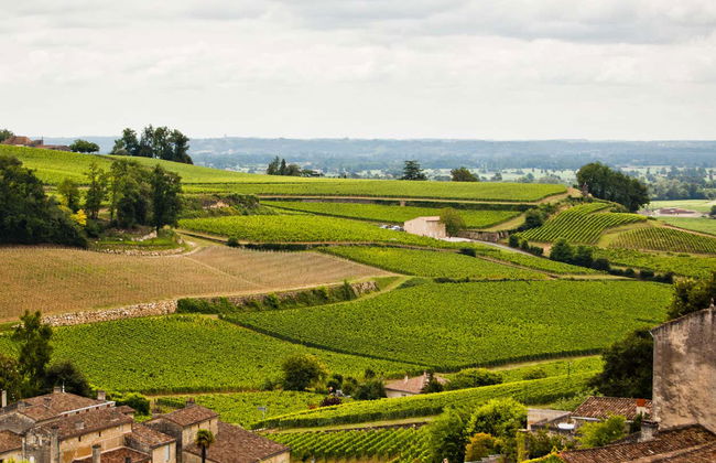 Tour en bicicleta por los viñedos de Saint-Emilion - Foto 1