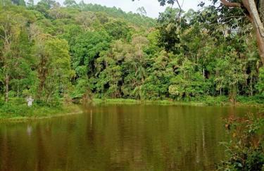 Sitio Lady Laura Biritiba Ussu Mogi - Foto 41