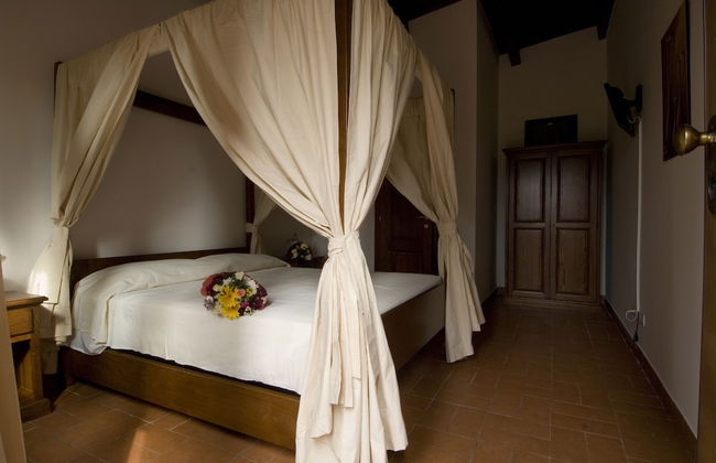 Azienda Agricola Sinisi - Foto 8