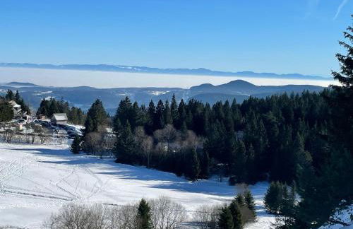 bel appartement 3 pièces dans la Résidence Vosges-Alsace Orbey - Foto 35