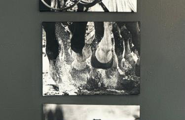 1 Bed1 Bath Condo wKitchenLR-Sleeps up to 4PP - Foto 13