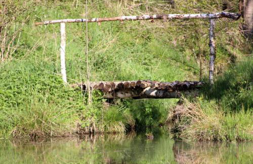 Hlebówka siedlisko w Sudetach - Foto 23