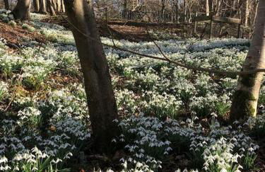 Historical North Cottage in Old Deer - Photo 35