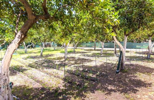 Green Orange Villa near Platanias - Photo 40