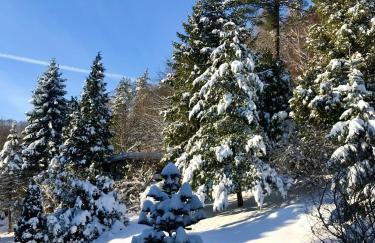 Domek Koziołek przy szlaku, Szyndzielnia, Klimczok, Szczyrk, Bania - Foto 30