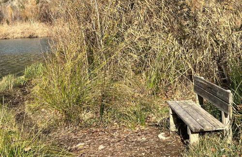 Ca l’Antonio - Foto 10