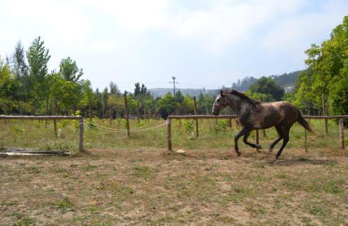 Quinta do Mosteiro - Foto 47