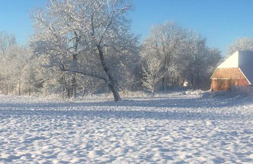 Ferienwohnung Alte Schmiede mit Gutspark - Foto 26