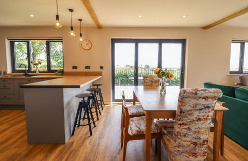 Mynydd Y Glyn Lodge - Foto 8