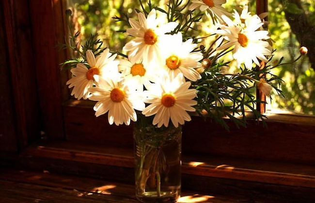 Keefer's Cottage - Foto 3