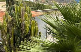 Casa Conrado, 2 bedroom modern oasis, good location - Foto 19