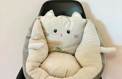 Apartamentos Plus Costa Brava Pals - Foto 40