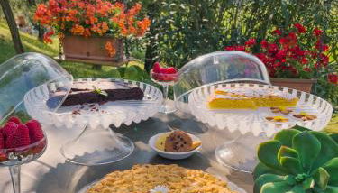 agriturismo" il glicine bianco" - Foto 4, Garden