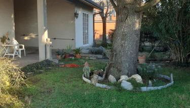 Apartament Cedro del Libano - Photo 3, Garden, Garden view