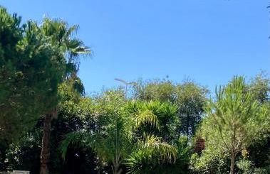 Sea Side apartment - Foto 27