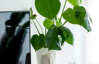 Mountain Suite - Foto 15