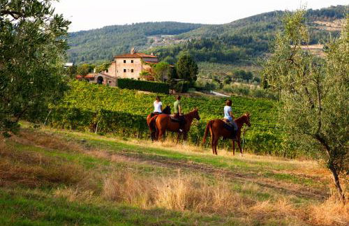 Florence Winery AgriResort - Fattoria Lavacchio - Foto 44