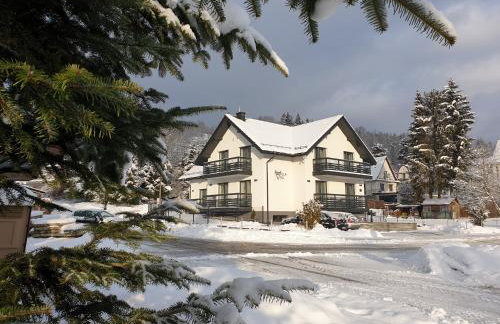 Willa VITA Muszyna - rodzinne apartamenty blisko natury i atrakcji - 15min pieszo do centrum - 15min autem do stoku - Foto 1