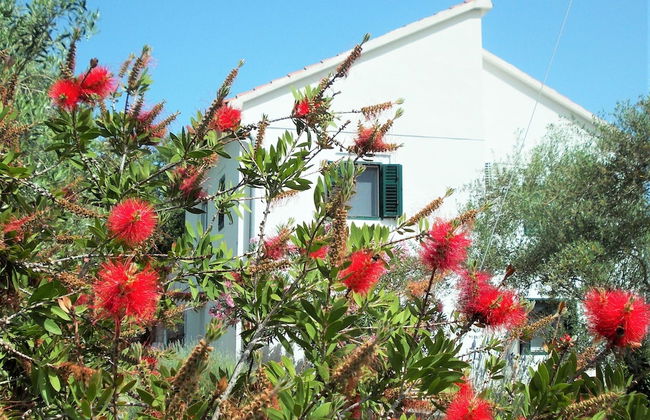 Detached House Miketa - Foto 58