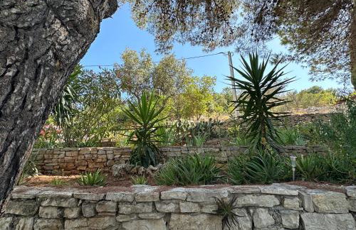 House Neli - Foto 11