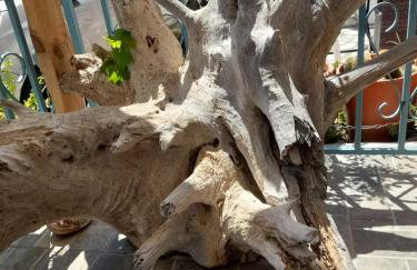 BACI HOUSE - Photo 21