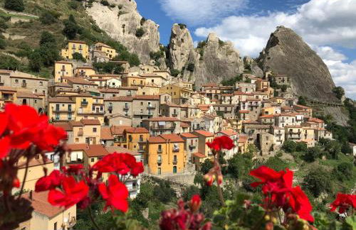 The Flowers' House - Photo 51