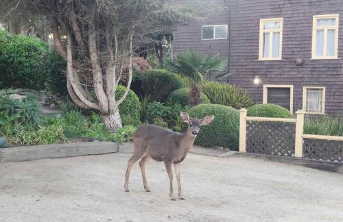 Charming Beach House-Ocean View(270H) - Foto 19