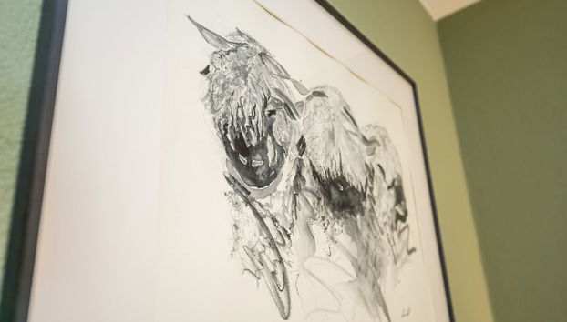 Cervino - Foto 2, Habitación