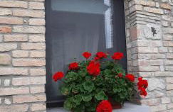 Casa Fabbro - Photo 20