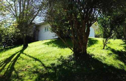 Casa do Galo / Galo House - Foto 16