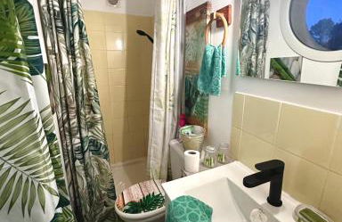 les pivoines - Foto 4