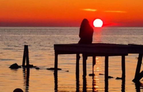 Fiore di Marte - Foto 26